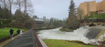 Brewery Park at Tumwater Falls